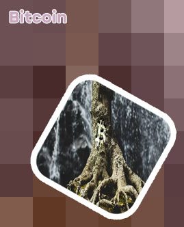 Bitcoin taproot upgrade should occur
