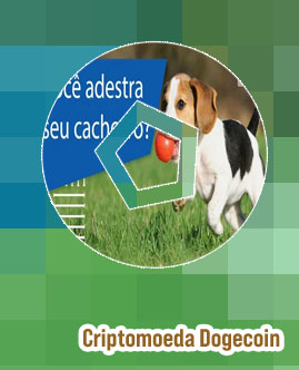 Moeda virtual cachorro Real